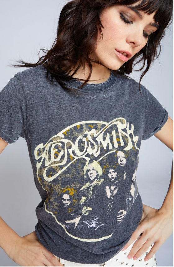Aerosmith Back in the Saddle Burnout-Graphic Tees-Recycled Karma-Evergreen Boutique, Women’s Fashion Boutique in Santa Claus, Indiana